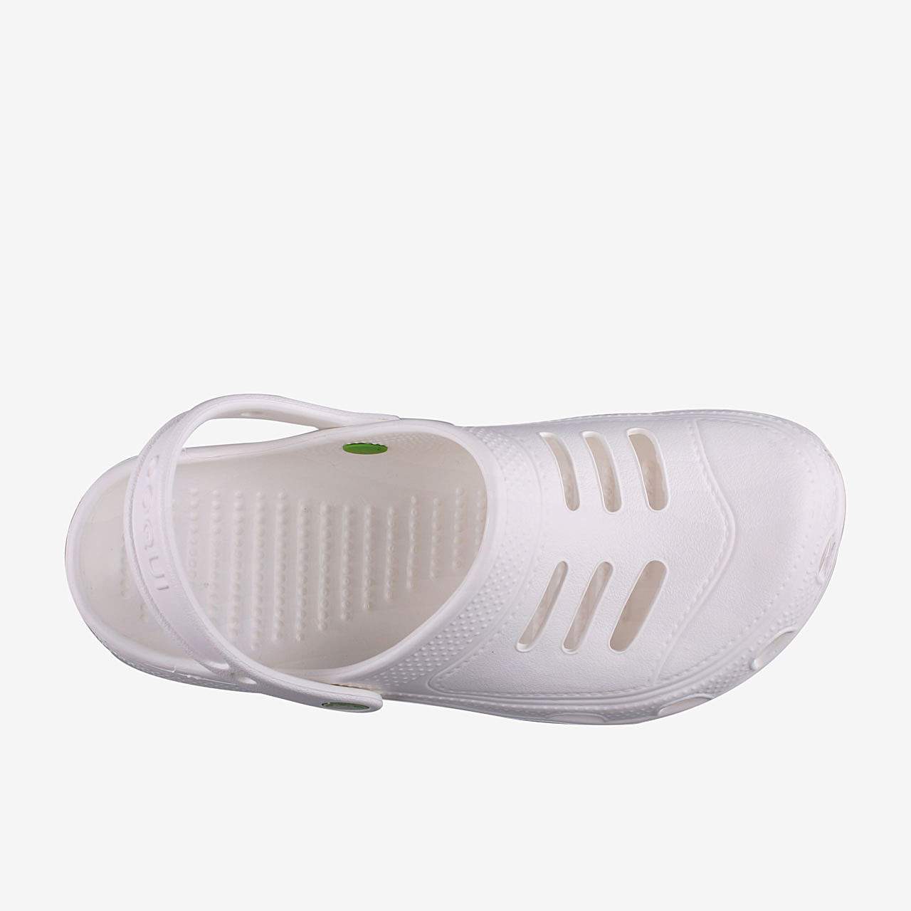 COQUI KENSO WORK White